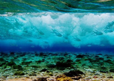 Crystal Clear waters at Coconut Grove, Taveuni, Fiji