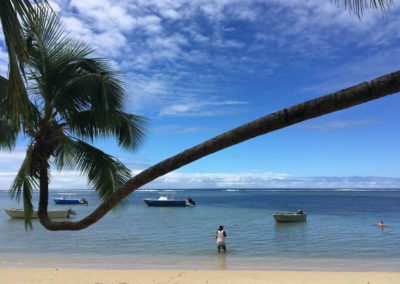 Safe Swimming and Snorkeling, at Coconut Grove