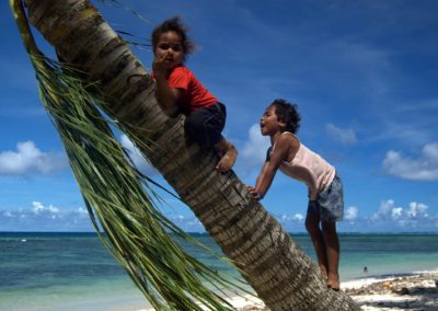 Local kids on a coconut Palm, Fiji