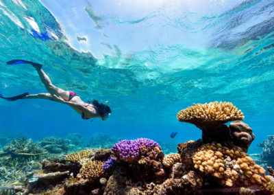 Snorkel the coral reefs at Coconut Grove, Fiji