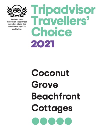 Tripadvisor Fiji Travellers Choice Awards 2021