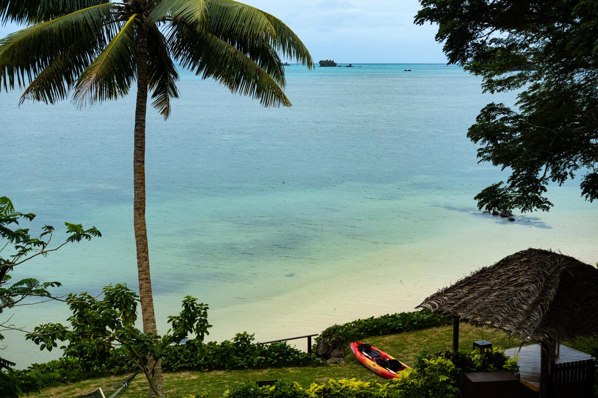 The Soft Coral Capital of The World, Taveuni, Fiji Islands (6)